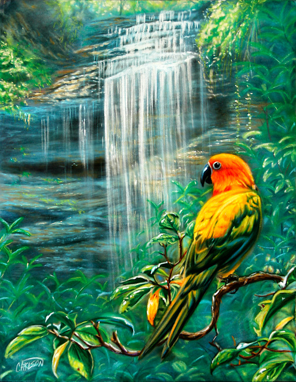 Shades of Gold by cory Carlson