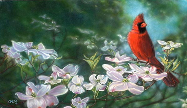 Rhapsody in Red by cory Carlson