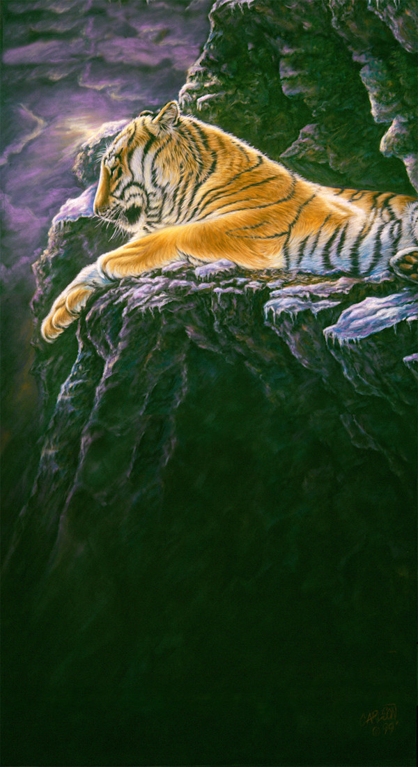 Restful Solitude by cory Carlson