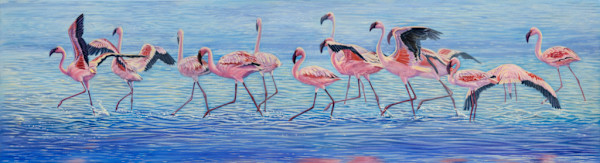 Ngorongoro Dance by cory Carlson