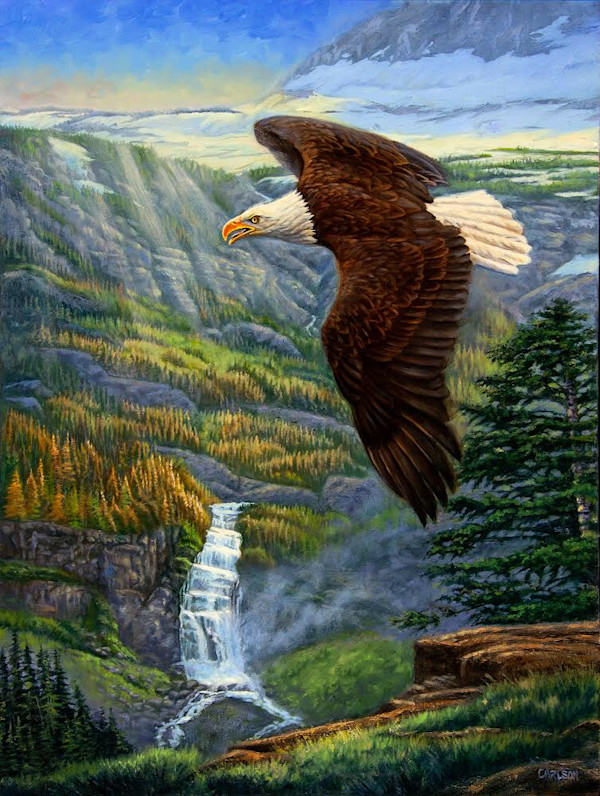 On Eagles Wings by cory Carlson