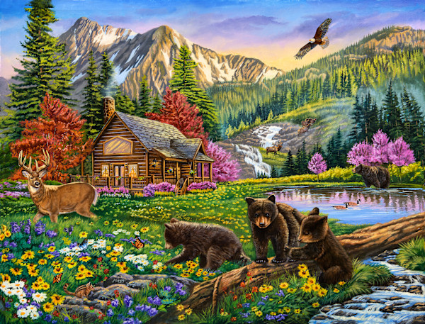 Mountain Hideaway by cory Carlson