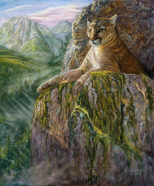 Morning splendor by cory Carlson