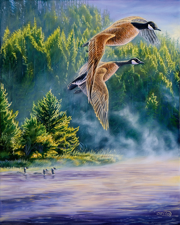 Morning mist by cory Carlson