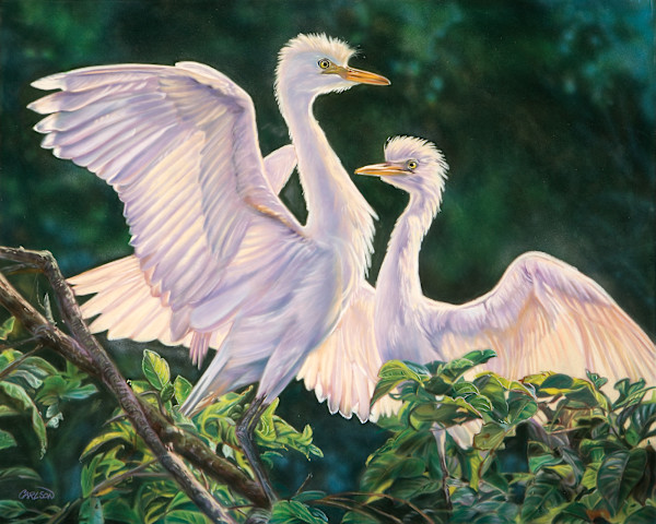 Morning light by cory Carlson