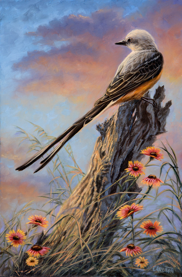 Morning Beauty by cory Carlson