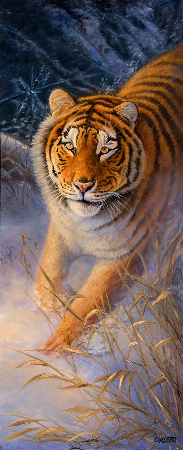 Moonlight Run by cory Carlson