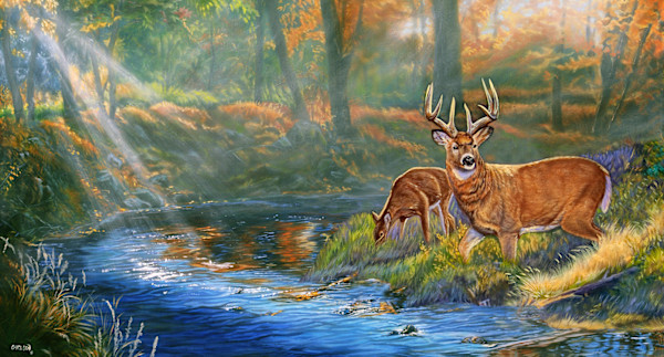 Mists of Autumn by cory Carlson