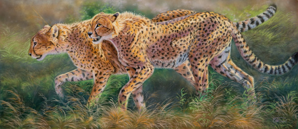 March of the Cheetahs by cory Carlson