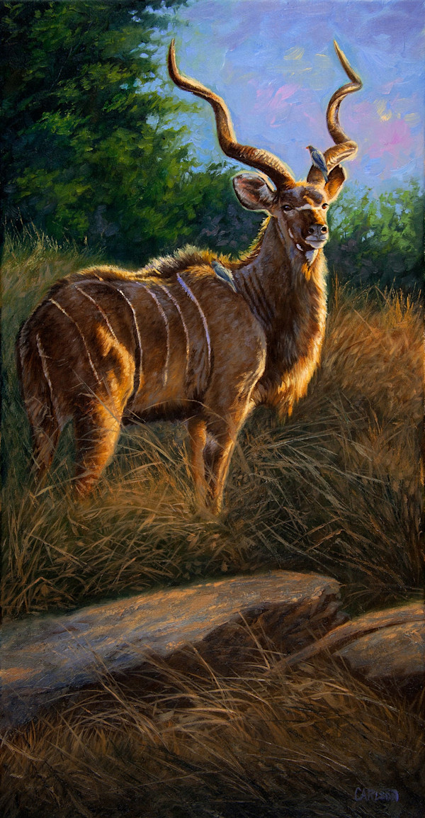 Majestic one by cory Carlson