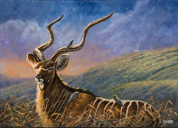 Majestic Kudu by cory Carlson