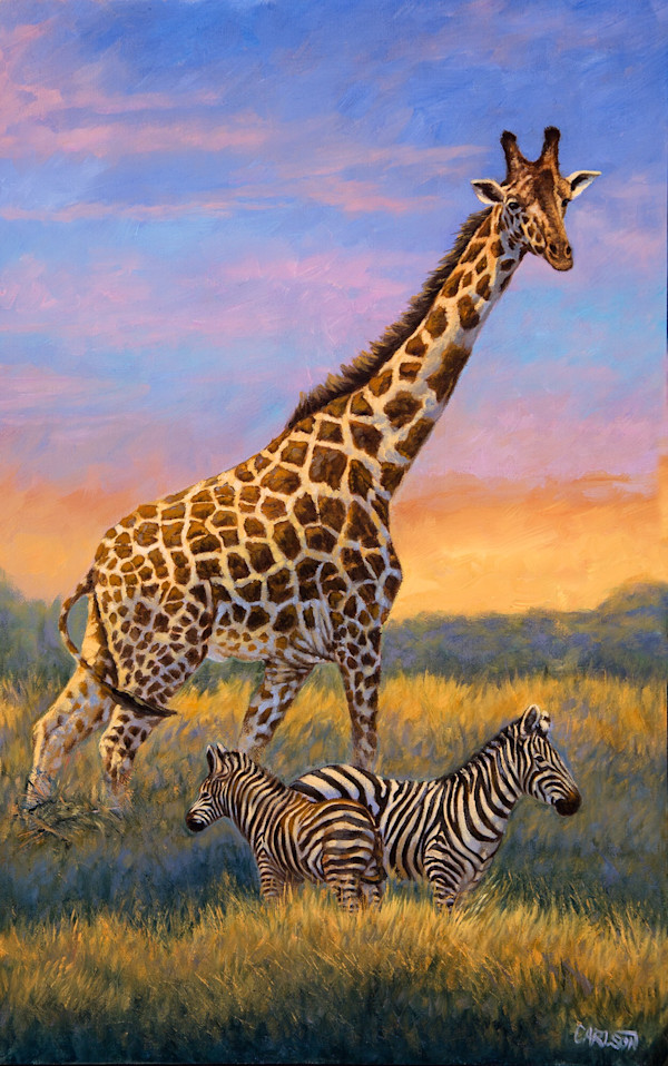 Made in the Shade by cory Carlson