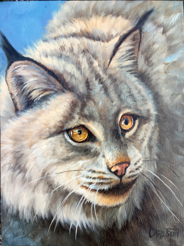 Lynx by cory Carlson