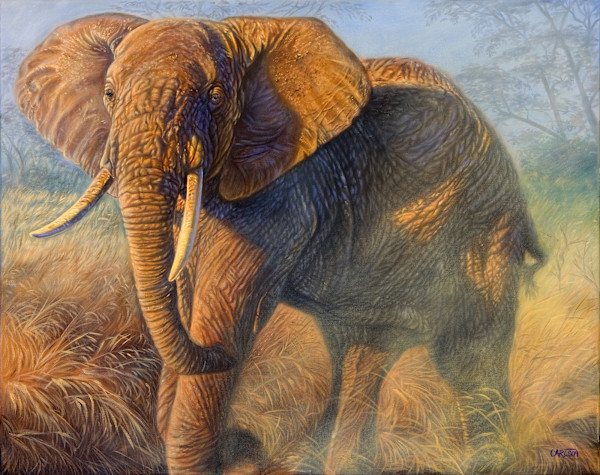 Lord of the Plains by cory Carlson