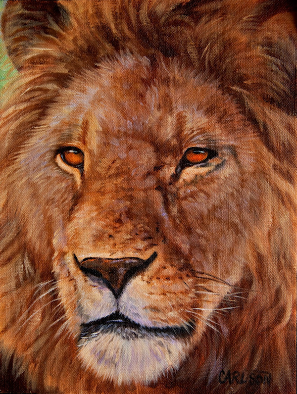 Lion portrait III by cory Carlson