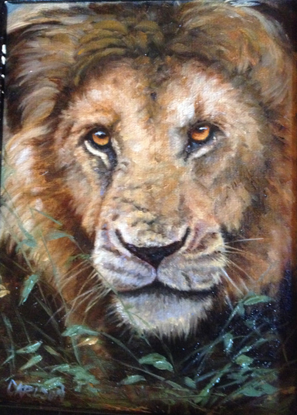 Lion portrait I by cory Carlson