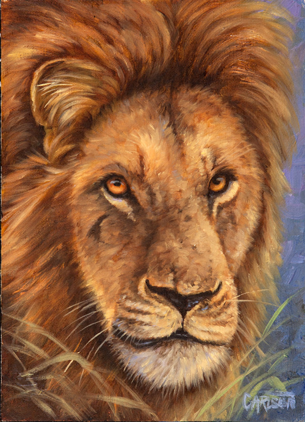 Lion I by cory Carlson