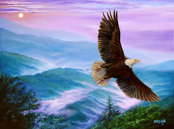 Land of dreams by cory Carlson