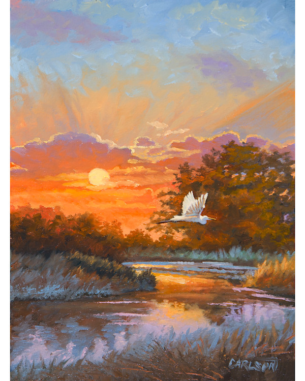 Nature's Embrace by cory Carlson