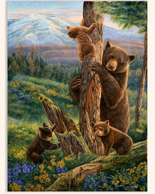 Summer Fun by cory Carlson