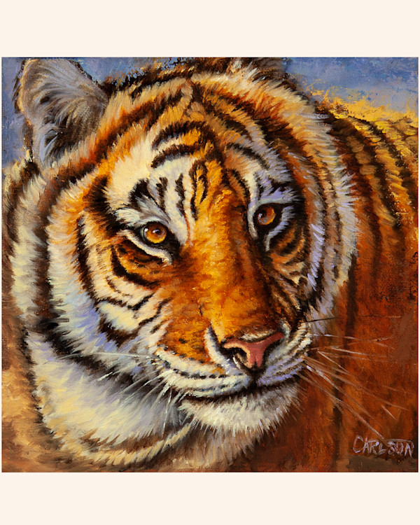 Siberian Tiger by cory Carlson