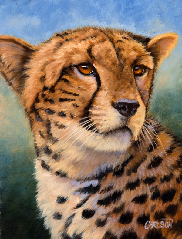 Cheetah Portrait