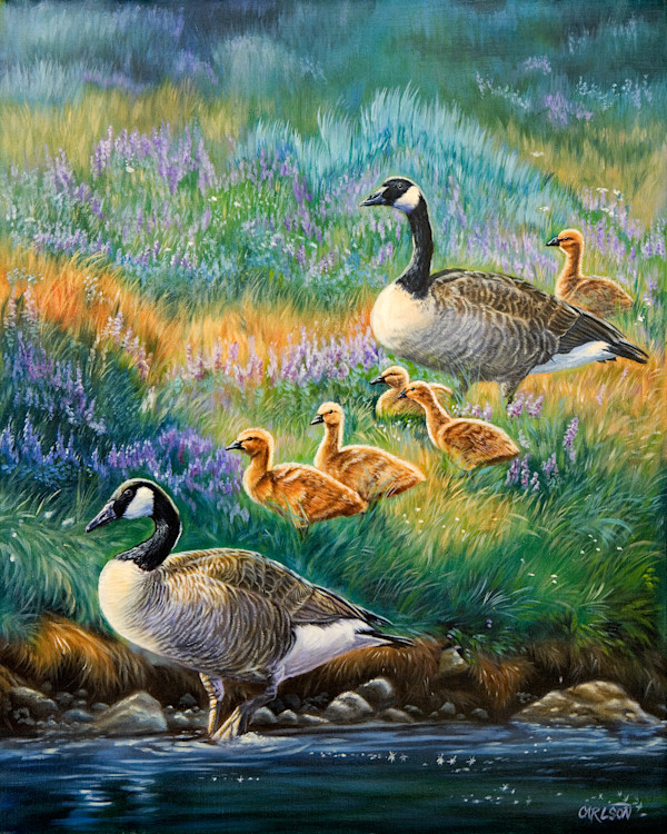 Family gathering by cory Carlson