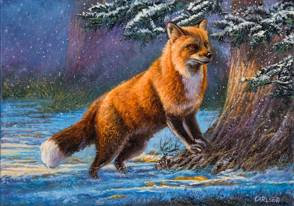 Twilight Snow