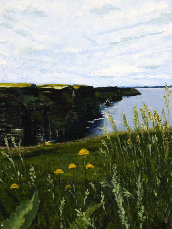 The Cliffs of Moher, Ireland by Wendi Knape