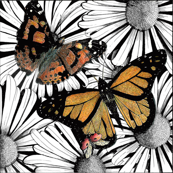 Painted Lady, Monarch, and Ladybug