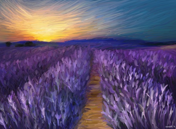 Lavender Field Sunrise by Eric Sanders