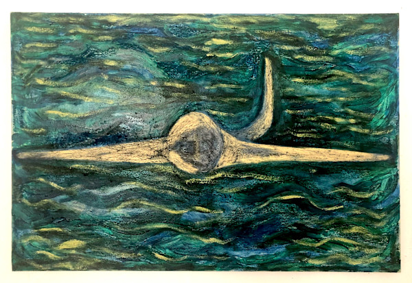 Hero of the Hudson by Anna Marie Rockwell, Image 1.