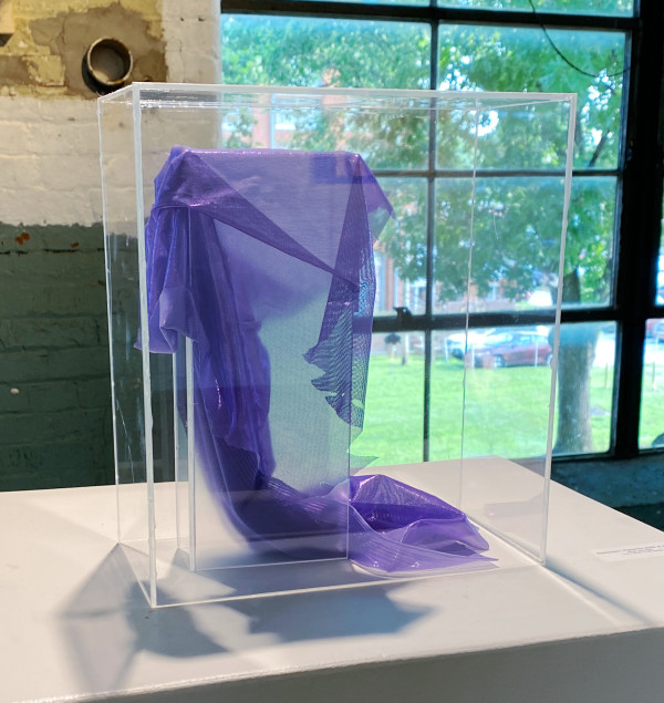 Specimen, Placenta (birth & death) by Anna Lyle