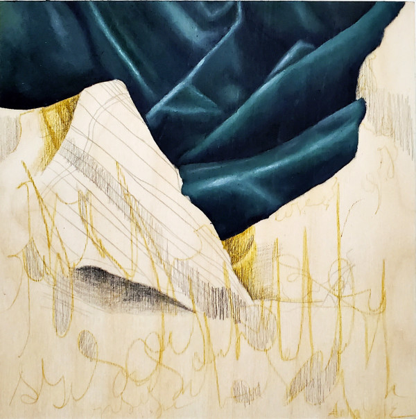 Anatomical Fabric, Shroud #2 by Anna Test