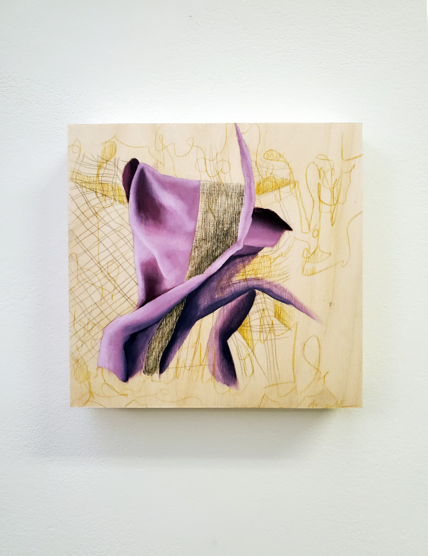 Anatomical Fabric, Shroud #4 by Anna Test