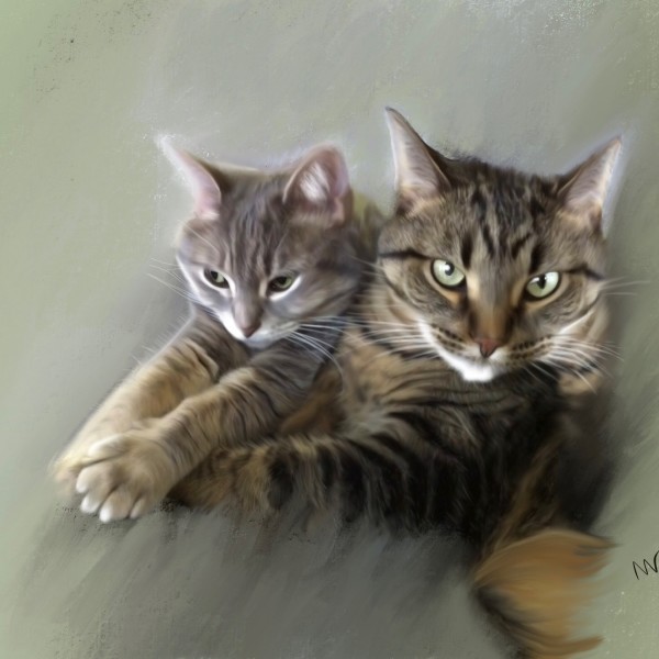Catherine’s Cats by Margo Thomas