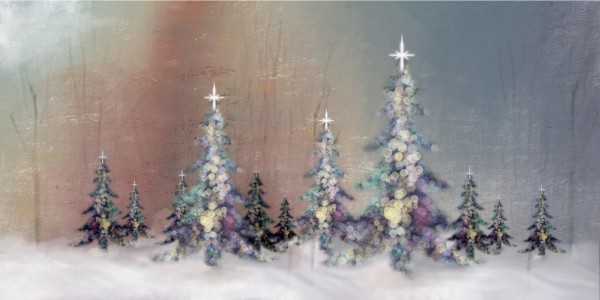 Christmas Tree Forest by Margo Thomas