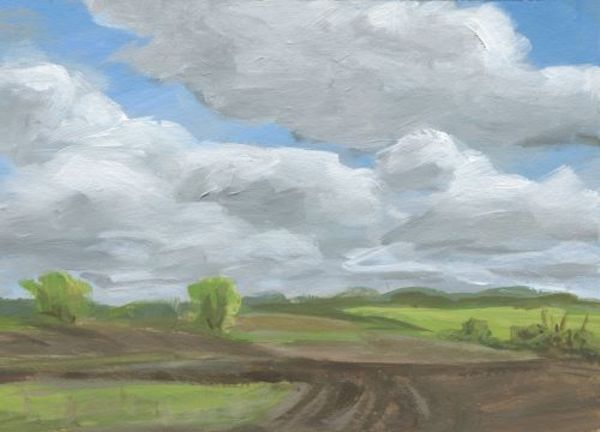 Kandiyohi Fields by Carrie Arnold