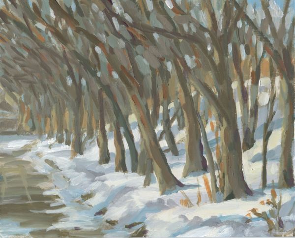 Winter Trees on Pleasant Avenue by Carrie Arnold