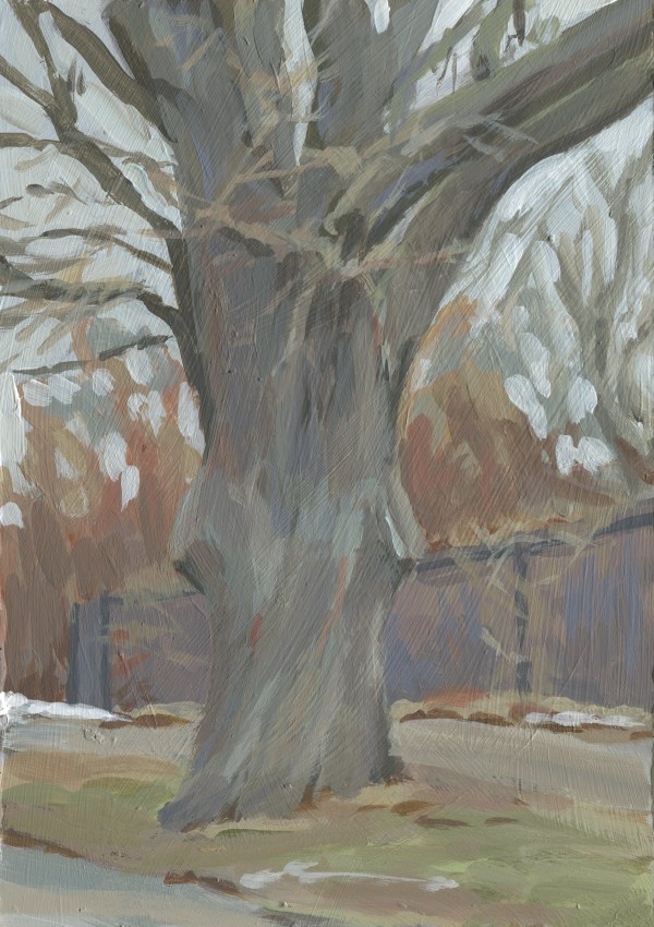 Tree on Shepherd Road by Carrie Arnold