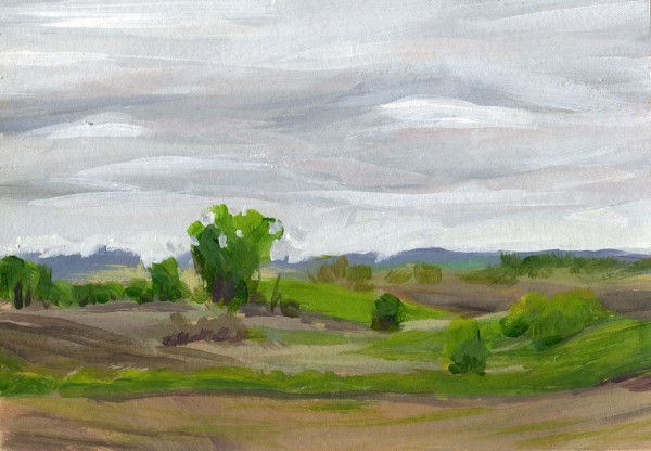 Overcast Fields