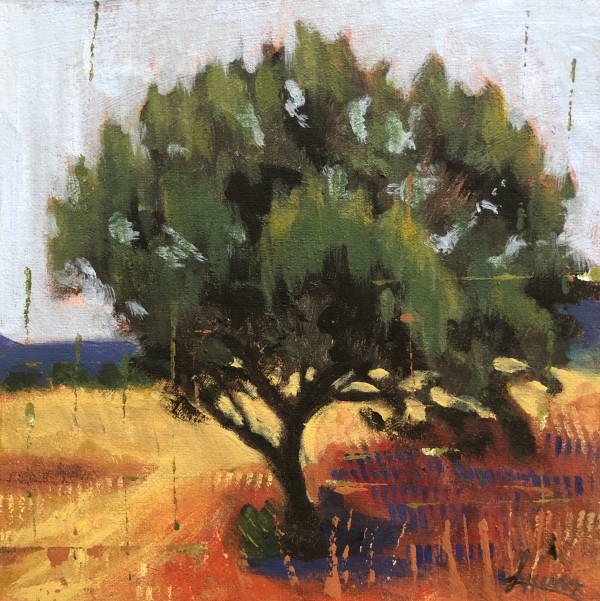 Alligator Juniper by Laura Hunt