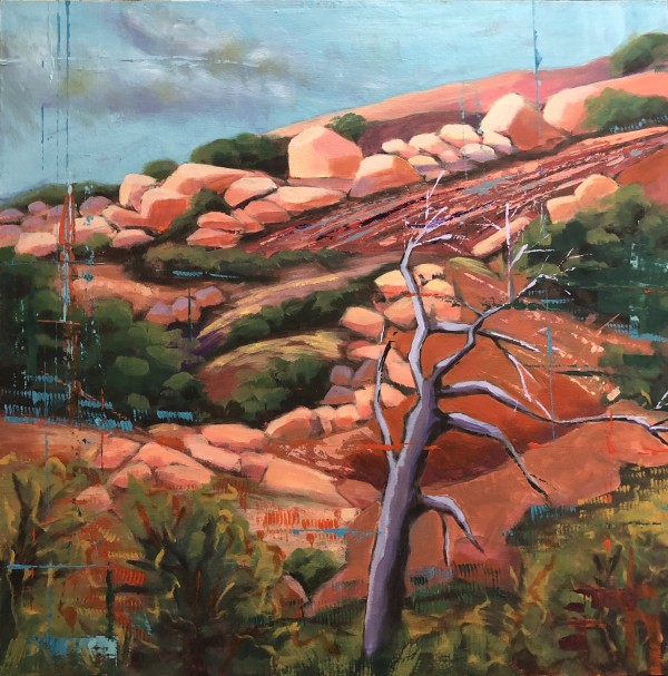 Big Pink Rock by Laura Hunt