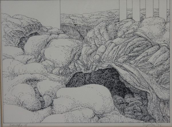Bioscape II by Leopold Segedin, Image 1.