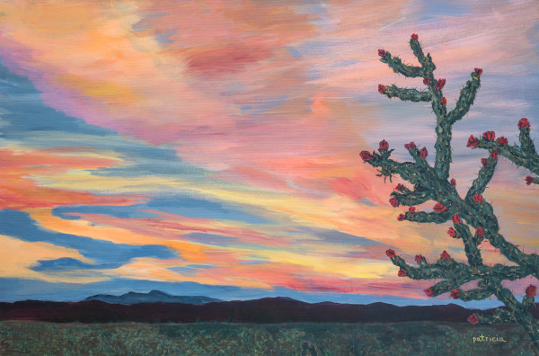 Cholla Sunrise by Patricia Gould