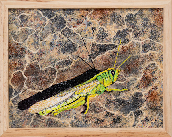 Jewel of the Desert by Patricia Gould, Image 2.