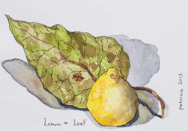 Lemon & Leaf - watercolor