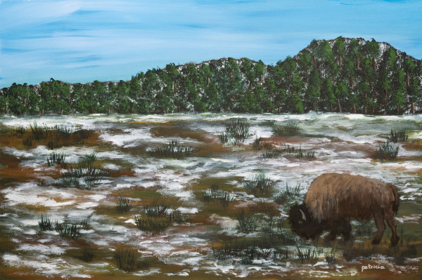 Lone Bison by Patricia Gould