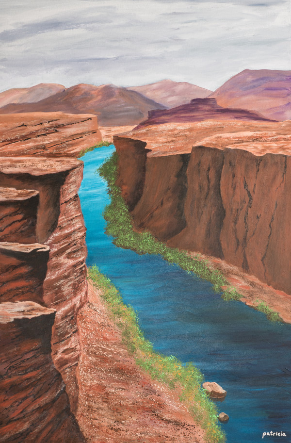 Meandering Through the Canyon by Patricia Gould