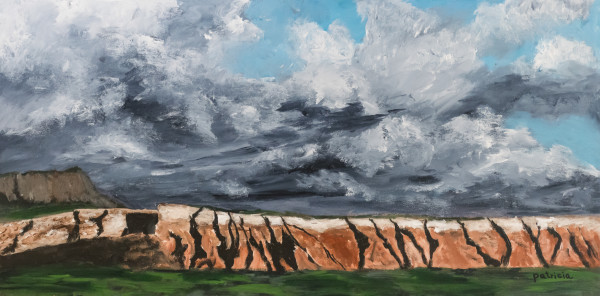 Storm on the Mesa by Patricia Gould